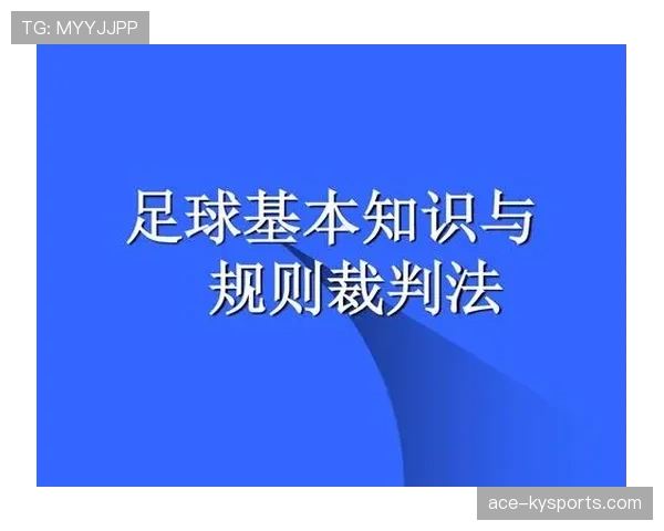 详细解读背身单打规则具体条款与裁判现场判罚的执行标准 详细解读背身单打规则具体条款与裁判现场判罚的执行标准